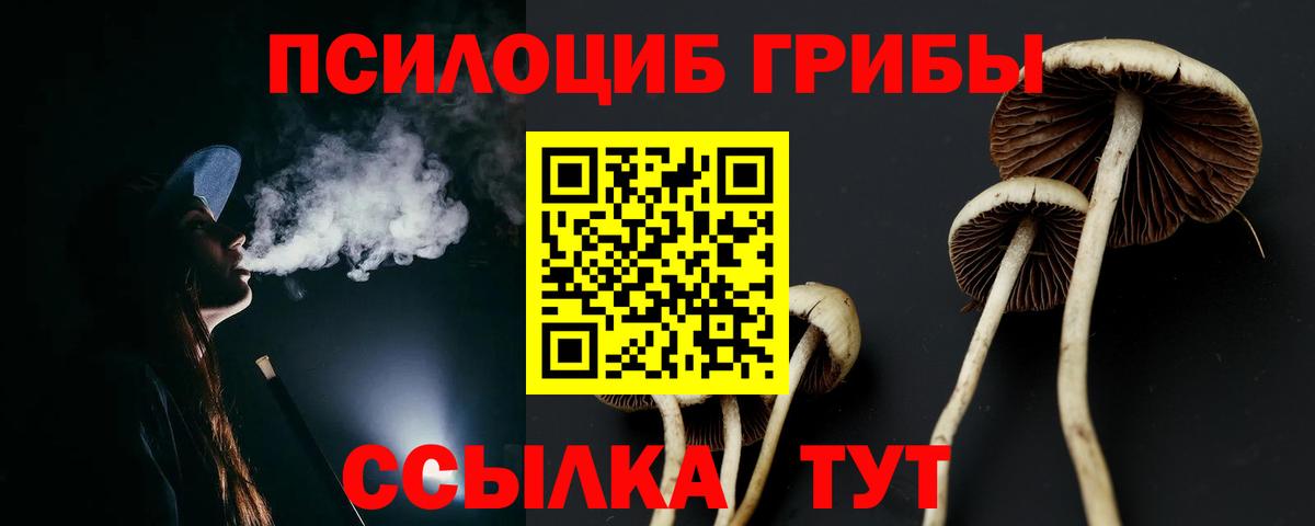 Галлюциногенные грибы Psilocybine cubensis Воркута